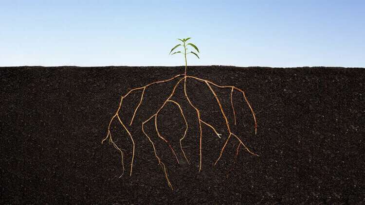 Attachment 5de50842c9c3e52694229f30