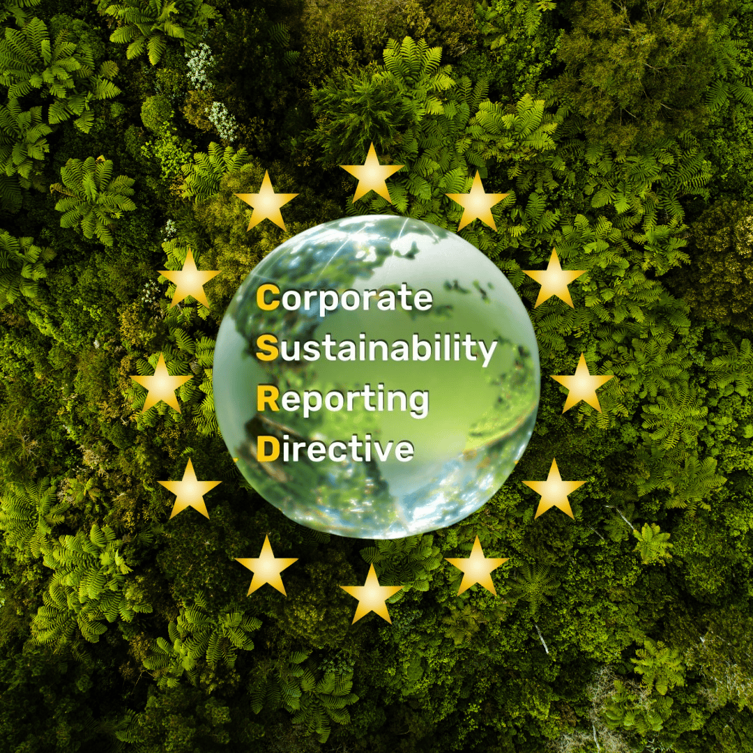 A Comprehensive Guide to the CSRD for Businesses