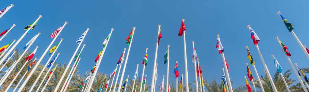 UN Flags